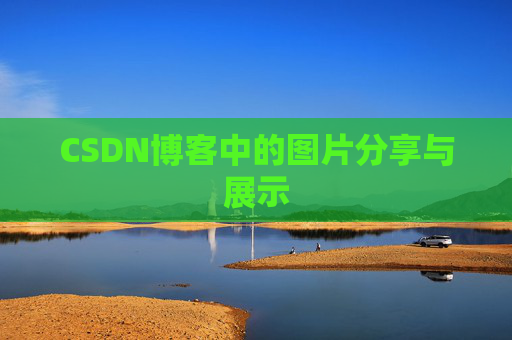 CSDN博客中的图片分享与展示